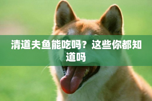 清道夫魚能吃嗎？這些你都知道嗎