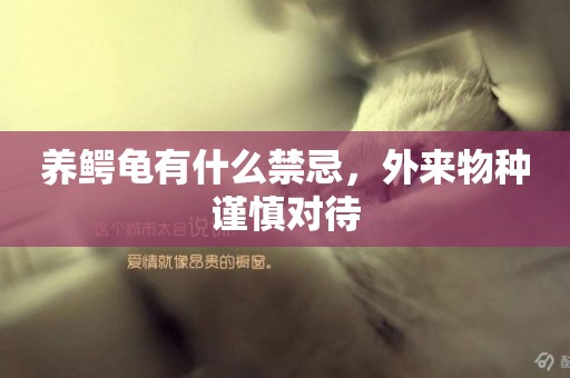 養鱷龜有什么禁忌，外來物種謹慎對待
