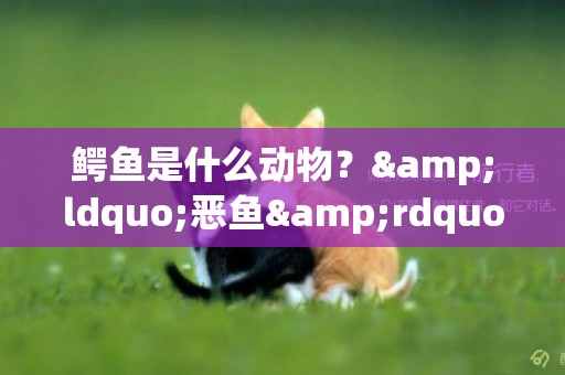 鱷魚是什么動物？&ldquo;惡魚&rdquo;就是最好的形容
