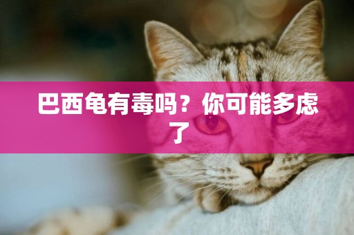 巴西龜有毒嗎？你可能多慮了