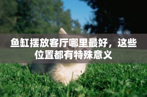 魚缸擺放客廳哪里最好，這些位置都有特殊意義
