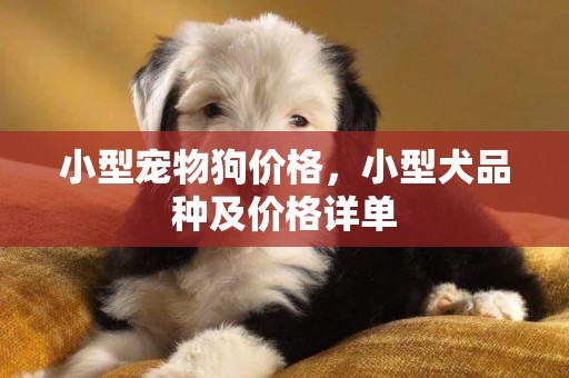小型寵物狗價格，小型犬品種及價格詳單