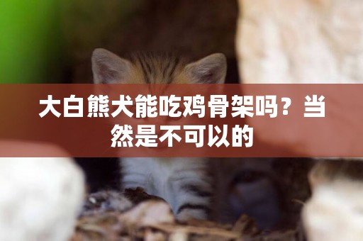 大白熊犬能吃雞骨架嗎？當然是不可以的