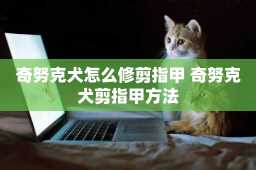 奇努克犬怎么修剪指甲 奇努克犬剪指甲方法