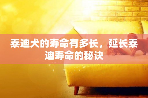 泰迪犬的壽命有多長，延長泰迪壽命的秘訣