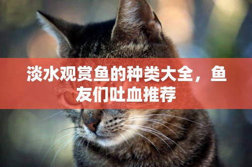 淡水觀賞魚的種類大全，魚友們吐血推薦