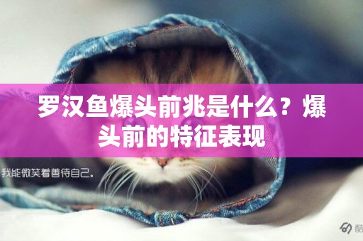 羅漢魚爆頭前兆是什么？爆頭前的特征表現