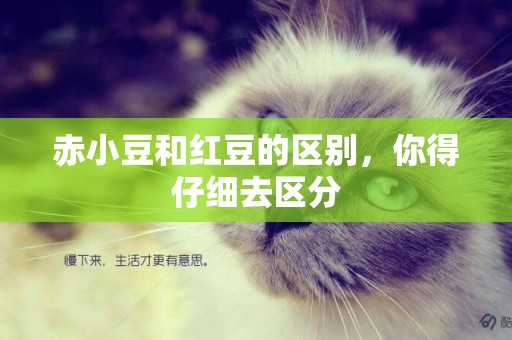赤小豆和紅豆的區別，你得仔細去區分