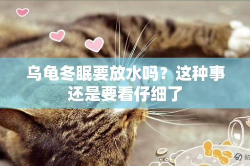 烏龜冬眠要放水嗎？這種事還是要看仔細了