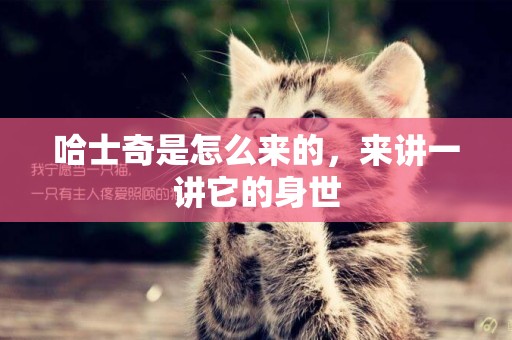 哈士奇是怎么來的，來講一講它的身世