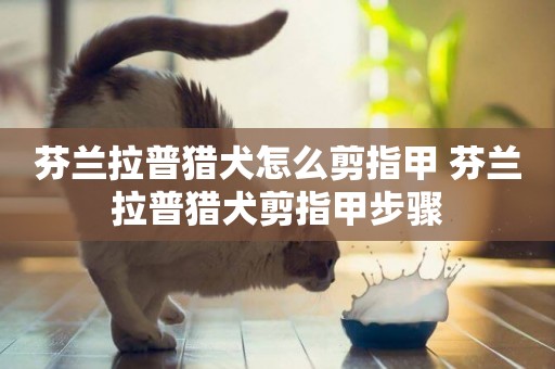 芬蘭拉普獵犬怎么剪指甲 芬蘭拉普獵犬剪指甲步驟