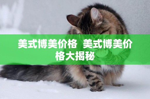 美式博美價格  美式博美價格大揭秘