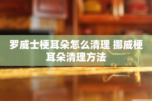 羅威士梗耳朵怎么清理 挪威梗耳朵清理方法