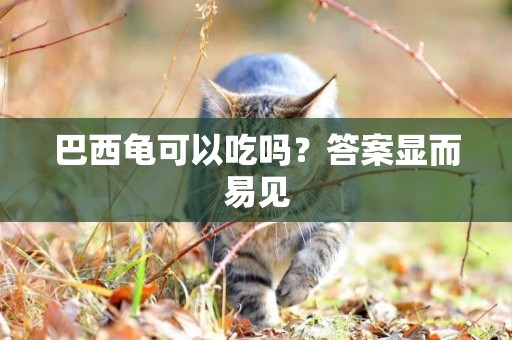 巴西龜可以吃嗎？答案顯而易見