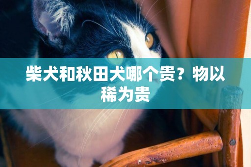 柴犬和秋田犬哪個貴？物以稀為貴