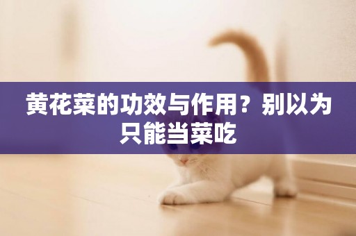 黃花菜的功效與作用？別以為只能當菜吃