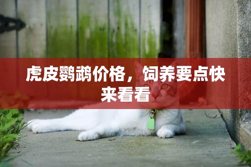 虎皮鸚鵡價格，飼養要點快來看看