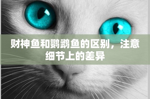 財神魚和鸚鵡魚的區別，注意細節上的差異