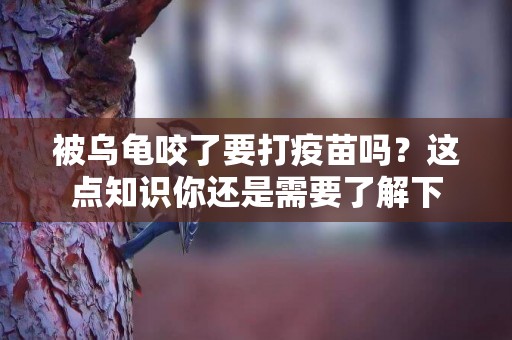 被烏龜咬了要打疫苗嗎？這點知識你還是需要了解下