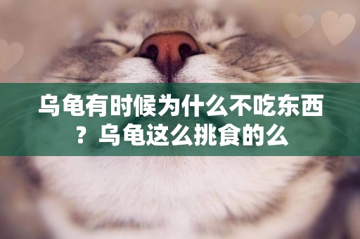 烏龜有時候為什么不吃東西？烏龜這么挑食的么