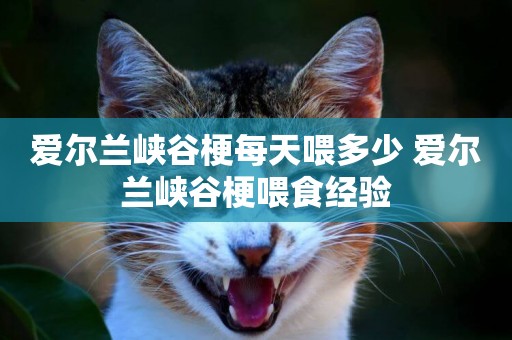 愛爾蘭峽谷梗每天喂多少 愛爾蘭峽谷梗喂食經驗