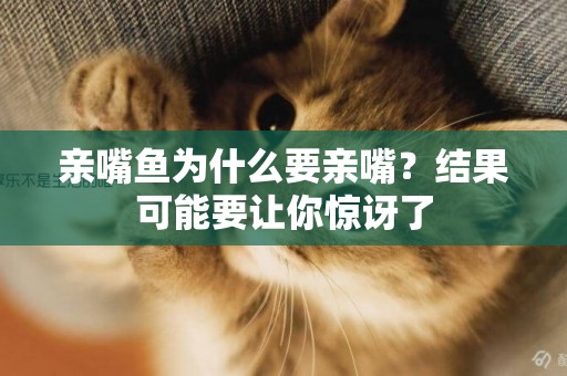 親嘴魚為什么要親嘴？結果可能要讓你驚訝了