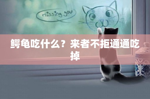 鱷龜吃什么？來者不拒通通吃掉
