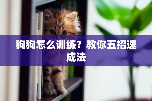 狗狗怎么訓練？教你五招速成法