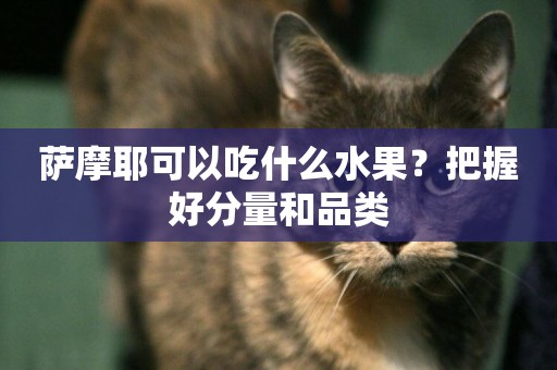 薩摩耶可以吃什么水果？把握好分量和品類