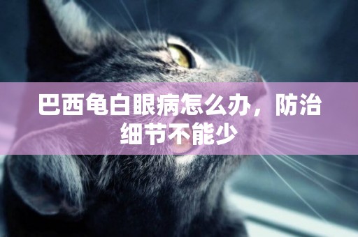 巴西龜白眼病怎么辦，防治細節不能少