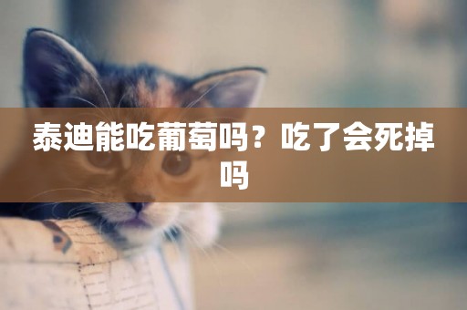 泰迪能吃葡萄嗎？吃了會死掉嗎