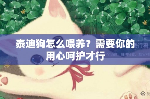 泰迪狗怎么喂養？需要你的用心呵護才行