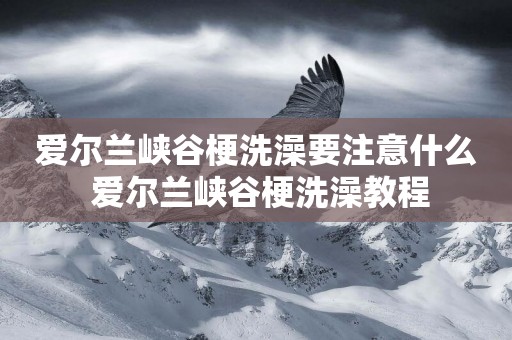 愛爾蘭峽谷梗洗澡要注意什么 愛爾蘭峽谷梗洗澡教程