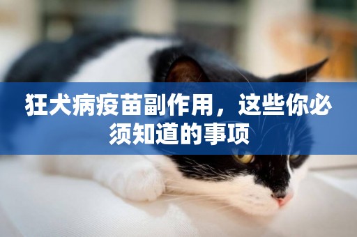 狂犬病疫苗副作用，這些你必須知道的事項