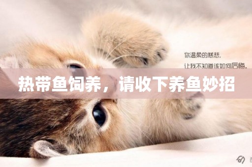 熱帶魚飼養，請收下養魚妙招