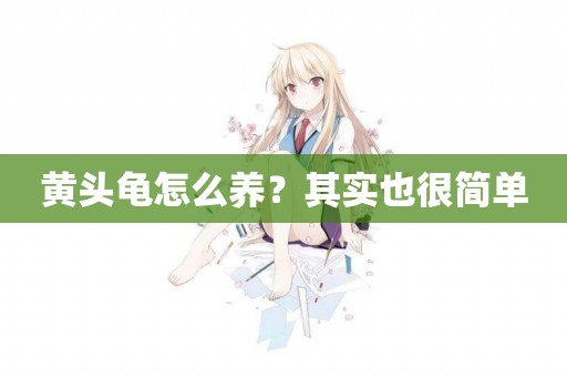 黃頭龜怎么養？其實也很簡單