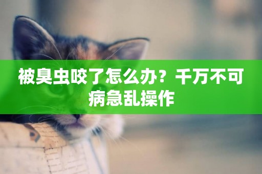 被臭蟲咬了怎么辦？千萬不可病急亂操作