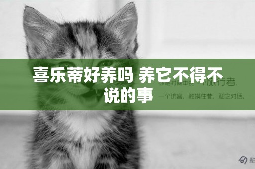 喜樂蒂好養嗎 養它不得不說的事