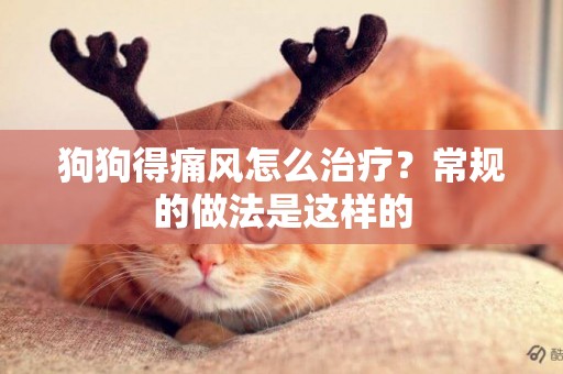 狗狗得痛風怎么治療？常規的做法是這樣的
