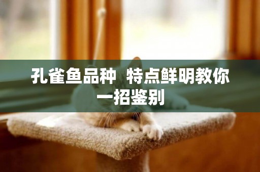 孔雀魚品種  特點鮮明教你一招鑒別