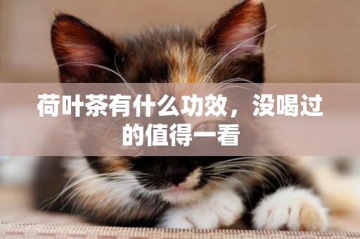 荷葉茶有什么功效，沒喝過的值得一看