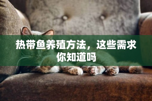 熱帶魚養殖方法，這些需求你知道嗎