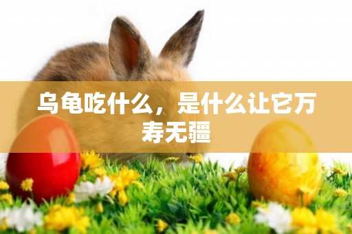 烏龜吃什么，是什么讓它萬壽無疆