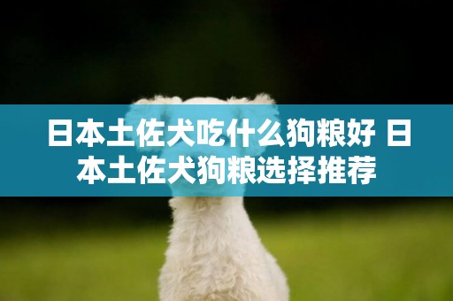日本土佐犬吃什么狗糧好 日本土佐犬狗糧選擇推薦