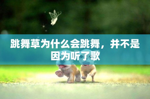 跳舞草為什么會跳舞，并不是因為聽了歌