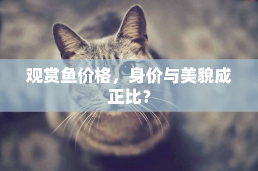 觀賞魚價格，身價與美貌成正比？