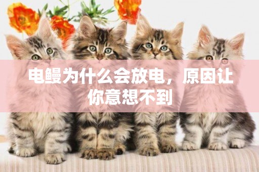 電鰻為什么會放電，原因讓你意想不到