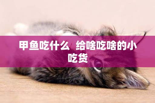 甲魚吃什么  給啥吃啥的小吃貨