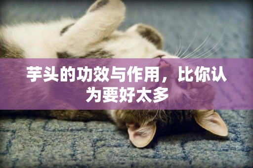 芋頭的功效與作用，比你認為要好太多