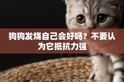 狗狗發燒自己會好嗎？不要認為它抵抗力強